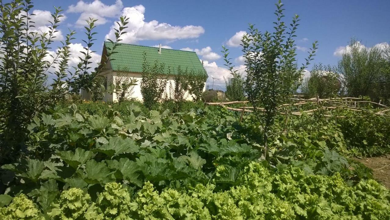 ОТЕЛЬ FARMSTAY MAKEEVKA КАРАКОЛ (Киргизия) - от 1632 RUB | NOCHI